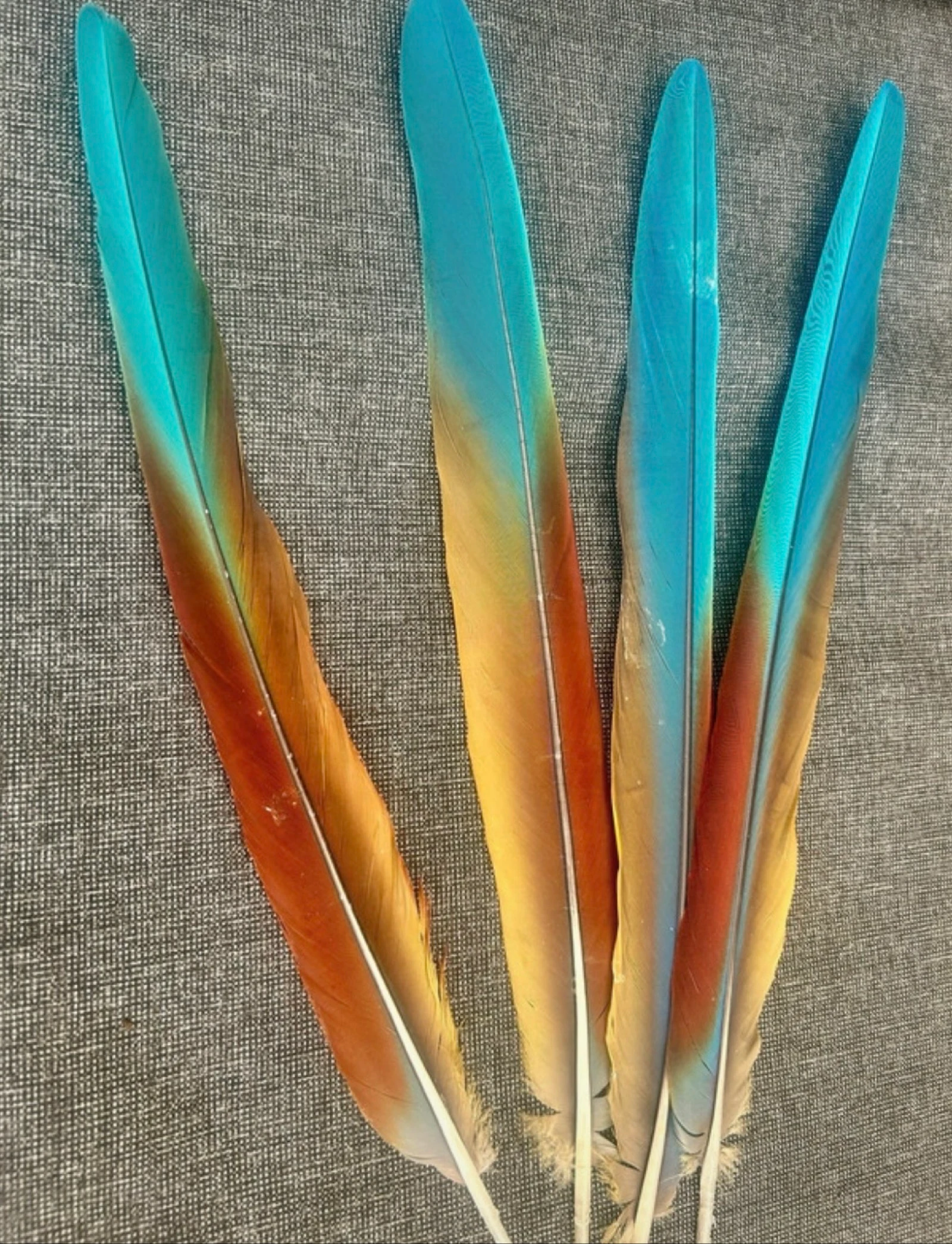 Plumas naturales de la cabra – photo 2